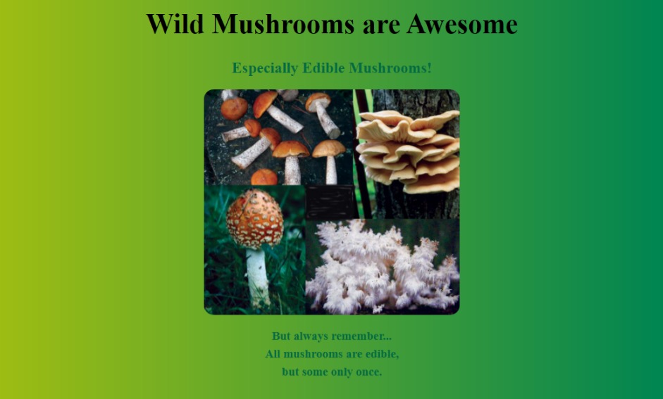 Wild Mushroom Page